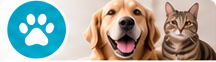 Aide pour les animaux de compagnie